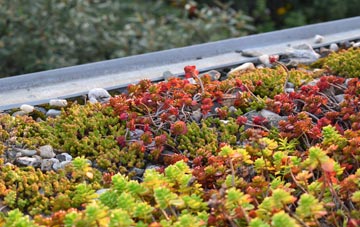 the cost of Hollybush green roof installation