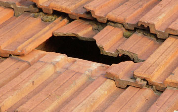 roof repair Hollybush