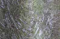 Hollybush fibreglass roof work